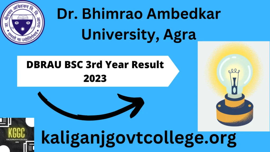 DBRAU BSC 3rd Year Result 2023