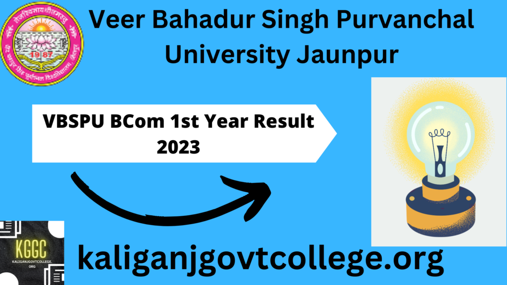 VBSPU BCom 1st Year Result 2023