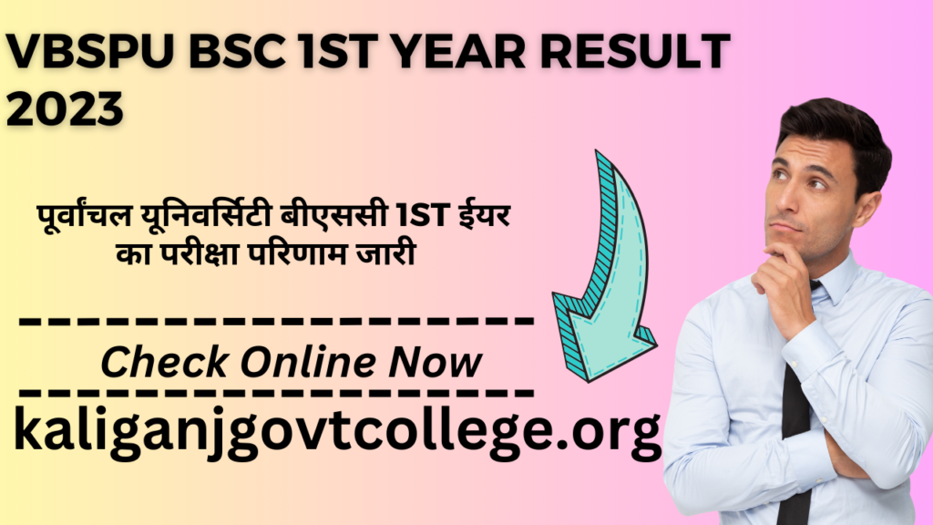 VBSPU BSC 1st Year Result 2023