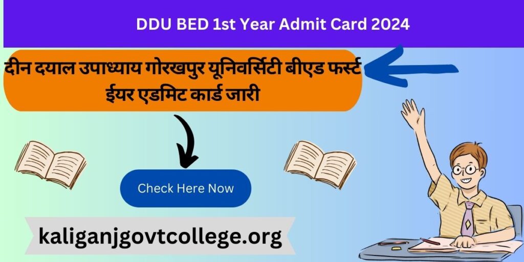 DDU BED 1st Year Admit Card 2024