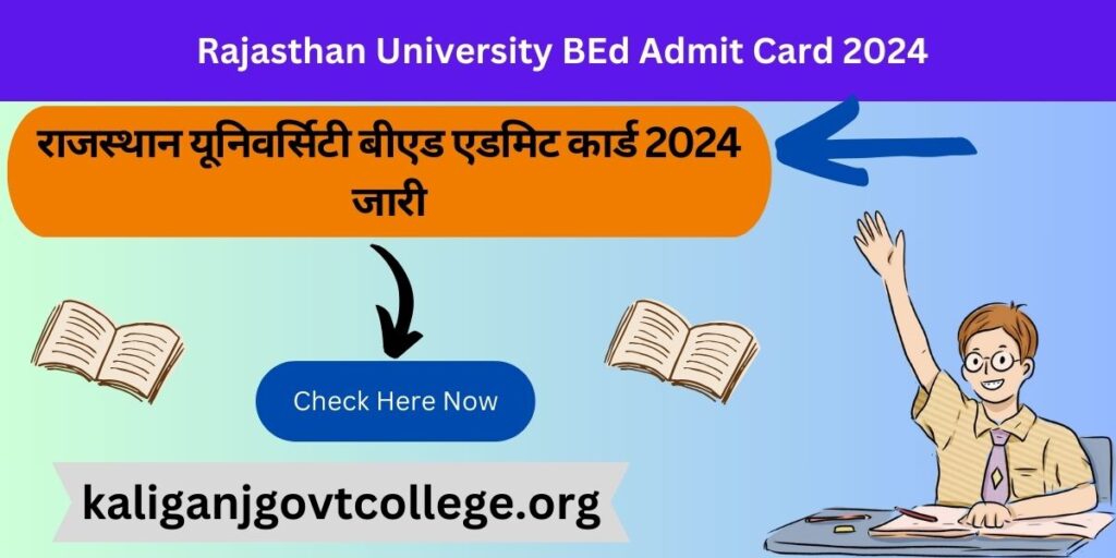 Rajasthan University BEd Admit Card 2024