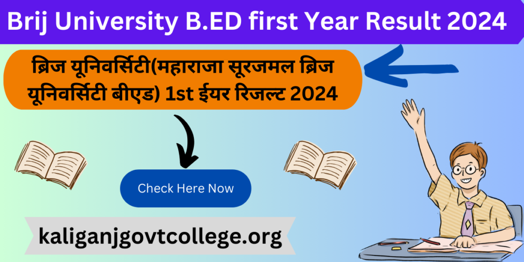 Brij University B.ED first Year Result 2024