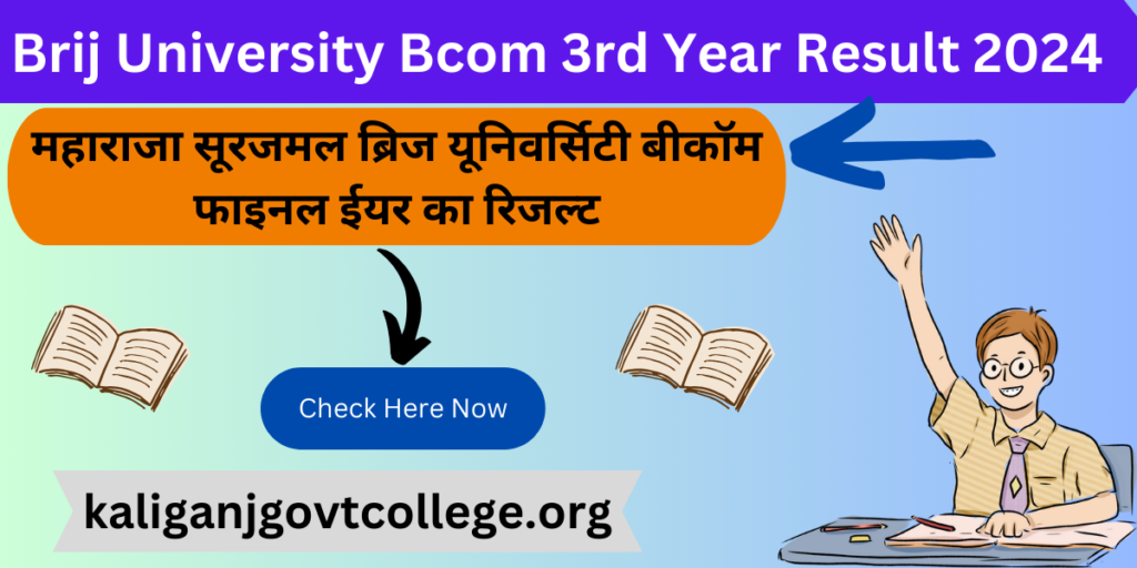 Brij University Bcom 3rd Year Result 2024