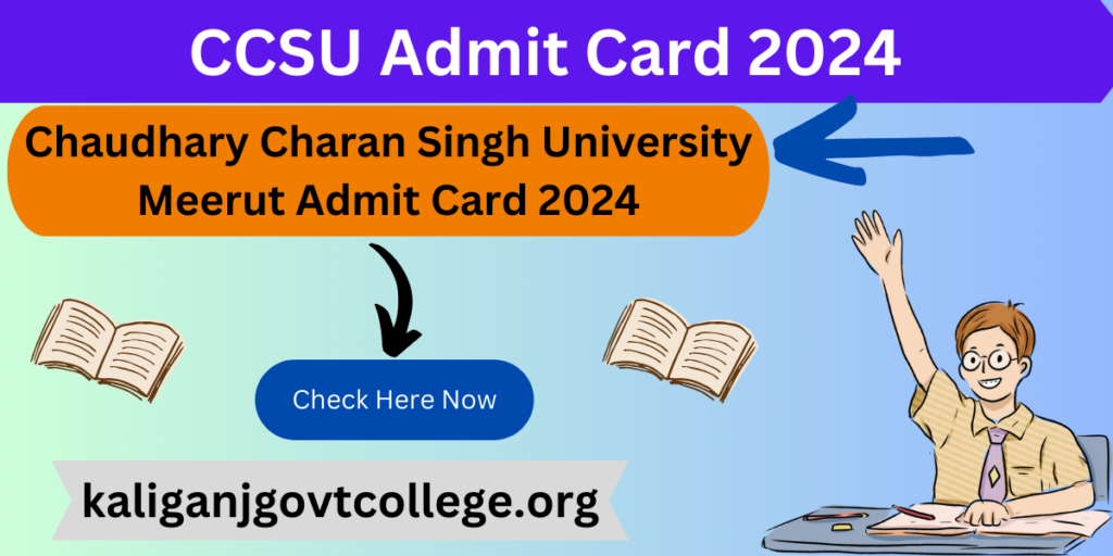 CCSU Admit Card 2024