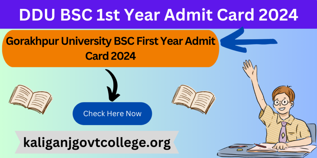 DDU BSC 1st Year Admit Card 2024