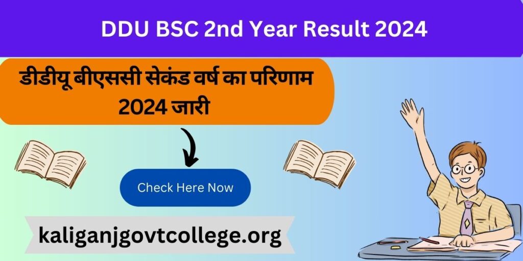 DDU BSC 2nd Year Result 2024